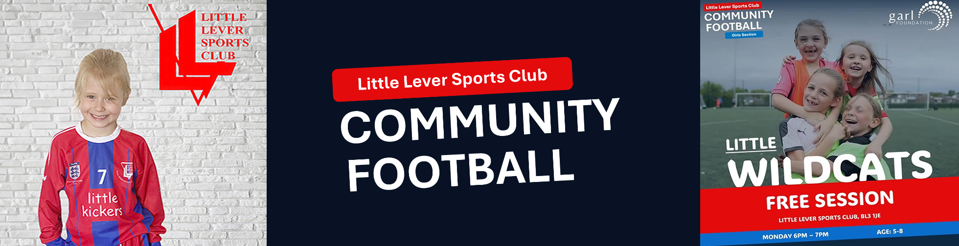 Wildcat Banner LLSC